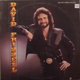 Brukte LP plater