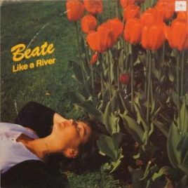 Brukte LP plater