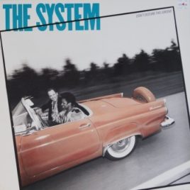 System – Don’t disturb this groove