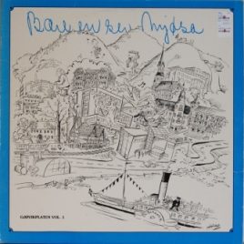 Bære en ser Mjøsa (div. art.)