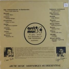 Arctic Music (div. art.)