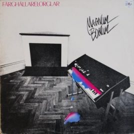 Magnum Bonum – Färghållarelorglar