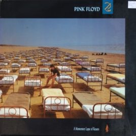 Pink Floyd – A momentary lapse of reason