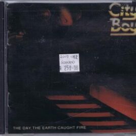 Cityboy – The day the earth caught fire