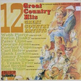 12 Great Country Hits (div. art.)