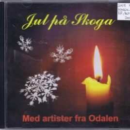 Jul på Skoga, med artister fra Odalen