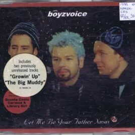 Boysvoice – Let me be your Father Xmas