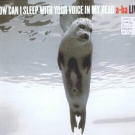 A-HA – How can I sleep with your voice in my head (A-HA live)