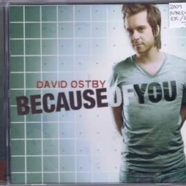 David Østby – Because of you