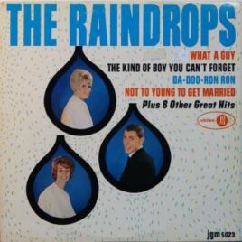 The Raindrops – The Raindrops
