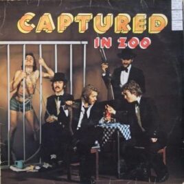 Zoo – Captured in zoo