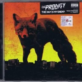 Prodigy – The day is my enemy